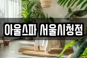 아울스파 서울시청점