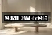 스포테라피 마사지 광화문세종