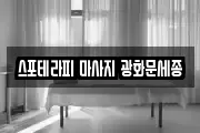 스포테라피 마사지 광화문세종