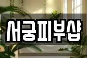 서궁피부샵