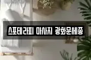 스포테라피 마사지 광화문세종