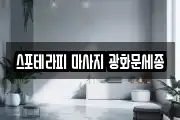 스포테라피 마사지 광화문세종