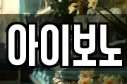 아이보노