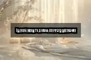 (딜라이브,케이블TV,유선방송,인터넷당일설치가입센터