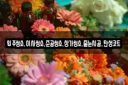 입주청소,이사청소,준공청소,상가청소,줄눈시공,탄성코트