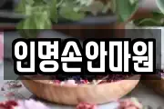 인명손안마원