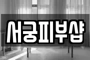 서궁피부샵