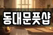 동대문풋샵