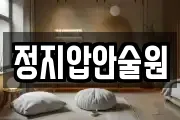 정지압안술원