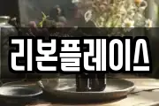 리본플레이스