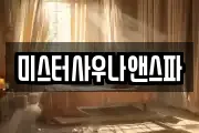 미스터사우나앤스파