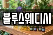 블루스웨디시