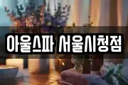 아울스파 서울시청점