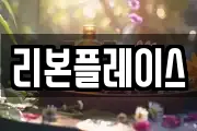 리본플레이스