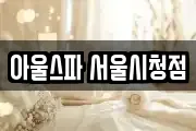 아울스파 서울시청점