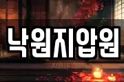 서울 중구 남산동1가 마사지, 지압등 업체정보