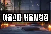 아울스파 서울시청점
