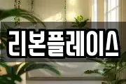 리본플레이스