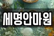 세명안마원