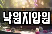 낙원지압원
