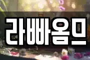 라빠옴므
