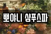 서울 중구 만리동1가 마사지, 지압등 업체정보