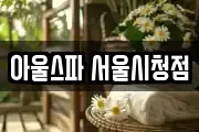 아울스파 서울시청점
