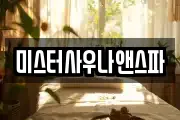 미스터사우나앤스파