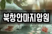 북창안마지압원