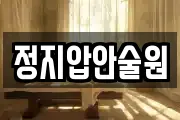 정지압안술원