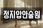정지압안술원
