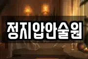 정지압안술원
