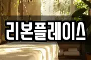 리본플레이스