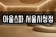 아울스파 서울시청점
