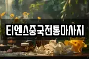 티엔스중국전통마사지
