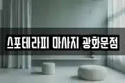 스포테라피 마사지 광화문점
