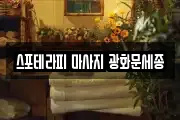 스포테라피 마사지 광화문세종