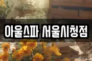 아울스파 서울시청점