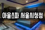 아울스파 서울시청점