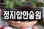 정지압안술원
