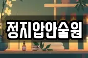 정지압안술원