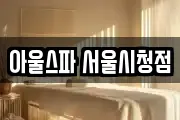 아울스파 서울시청점