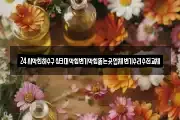 24시막힌하수구싱크대막힘변기막힘뚫는곳업체변기수리수전교체
