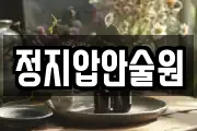 정지압안술원