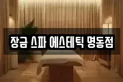 장금 스파 에스테틱 명동점