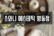 스와니 에스테틱 명동점