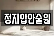 정지압안술원
