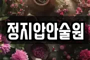 정지압안술원