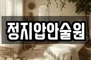 정지압안술원