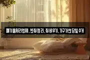 폐기물처리업체,빈집정리,집비우기,가구가전당일수거